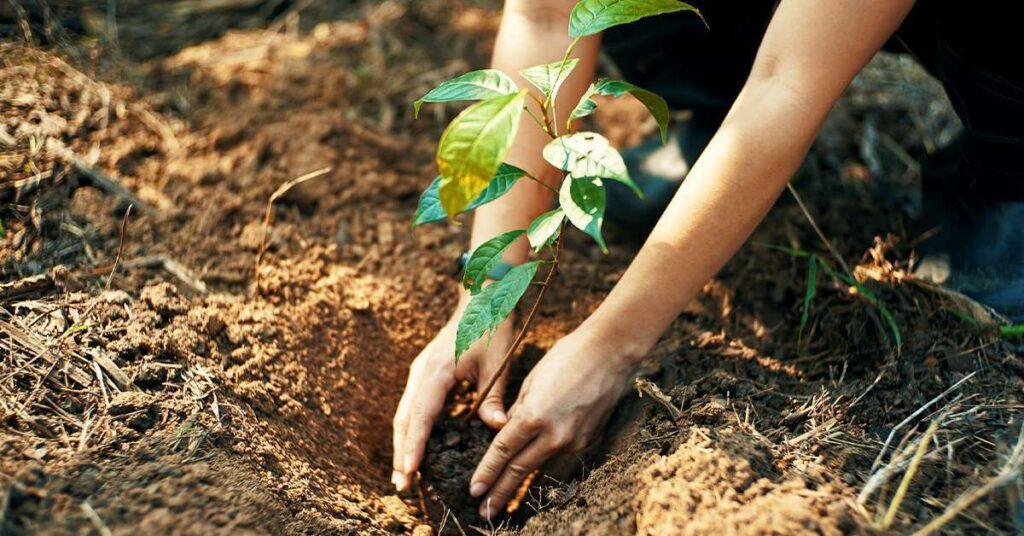 124765 tw social 1200x628 - Five Key CRE Investment Themes for Uncertain Times