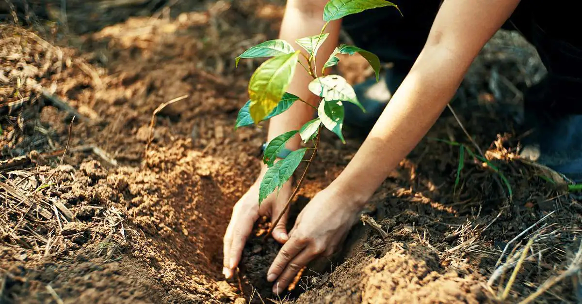 Five Key Cre Investment Themes For Uncertain Times – Creconsult Chicago Multifamily Five Key CRE Investment Themes for Uncertain Times 1