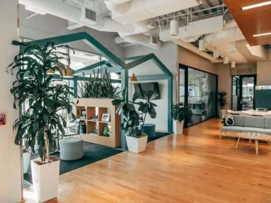 plants in a living room